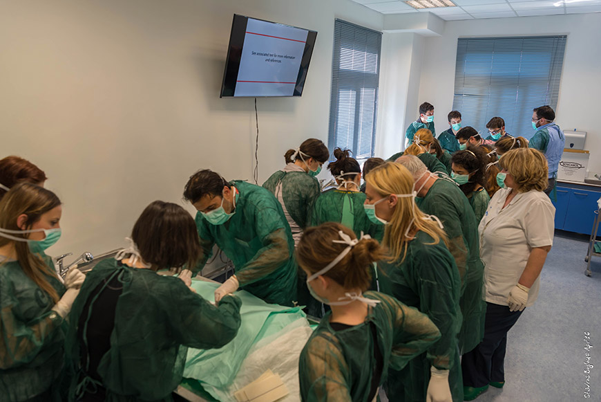 Medical students practice a procedure in groups