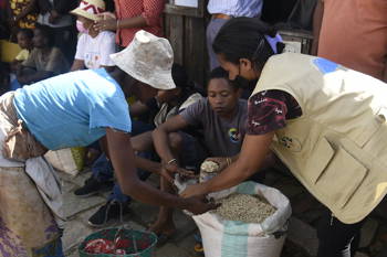 Volunteers distributing grain to people