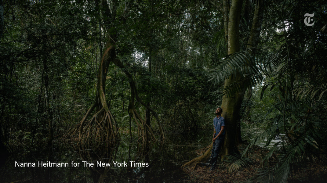 New York Times Headway initiative turns the lens on underappreciated