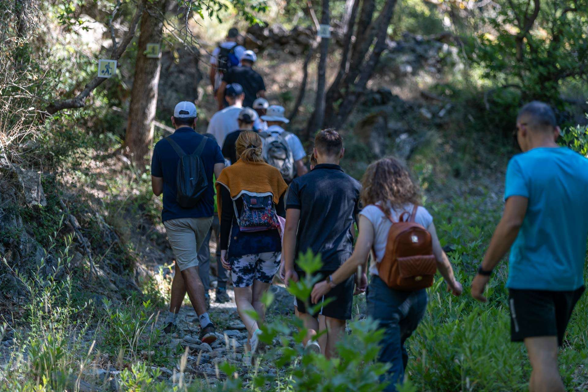 A group of people hiking on a mountain.